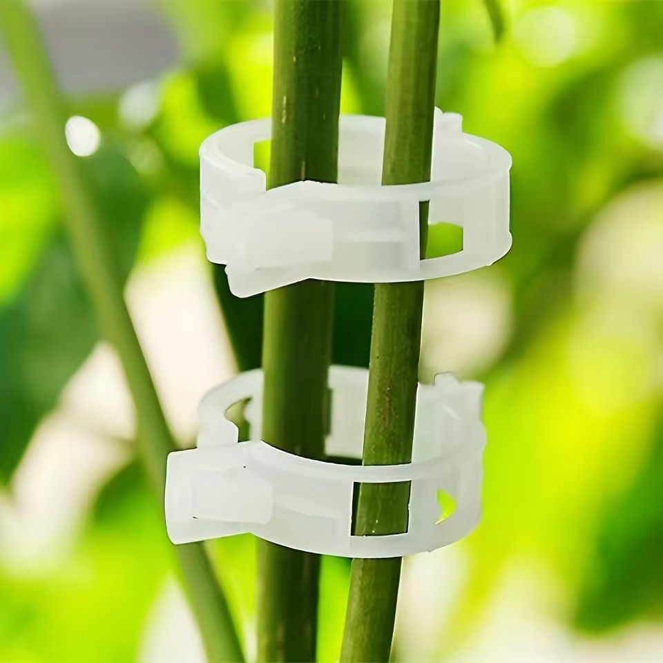 20 قطعة من مشابك دعم النباتات، - مراجعة Gardening Tools Vegetables وسعره
