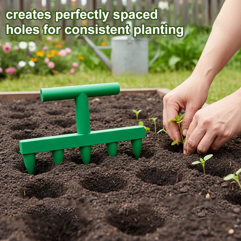 أداة ثقب التربة للبذر، أداة من - مراجعة Gardening Tools Vegetables وسعره