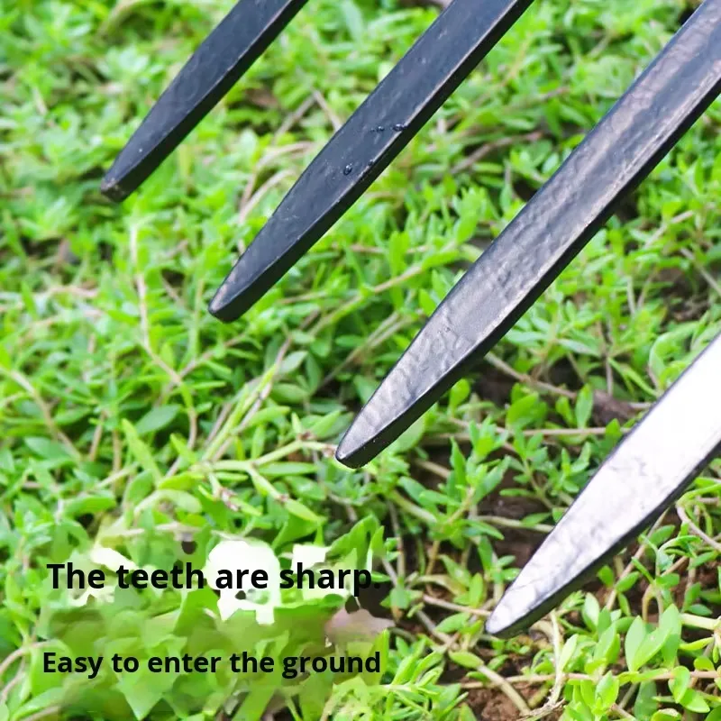 شوكة فولاذية بأربعة أسنان للحر - مراجعة Spade Digging Fork وسعره