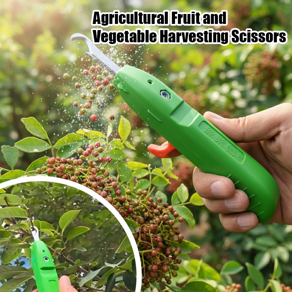 مقصات قطف الفاكهة والخضروات، م - مراجعة Gardening Tools Vegetables وسعره