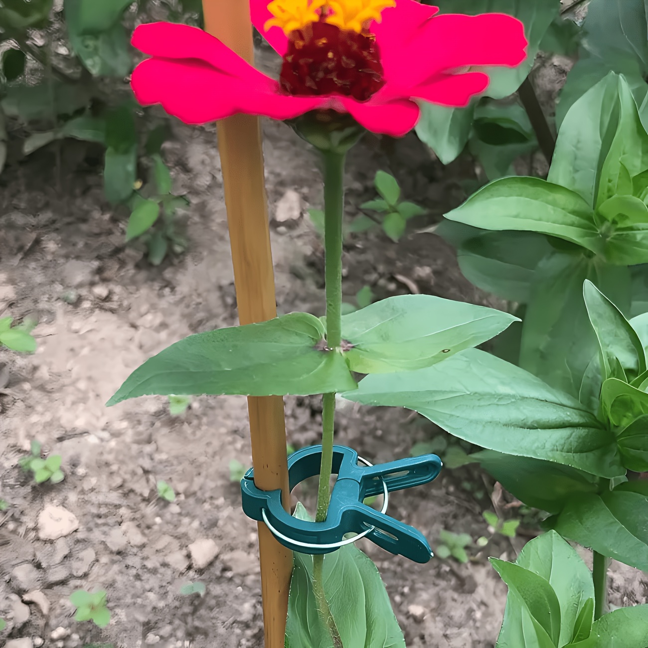5 قطع مشابك نباتات قابلة للتعد - مراجعة Gardening Tools Essential وسعره