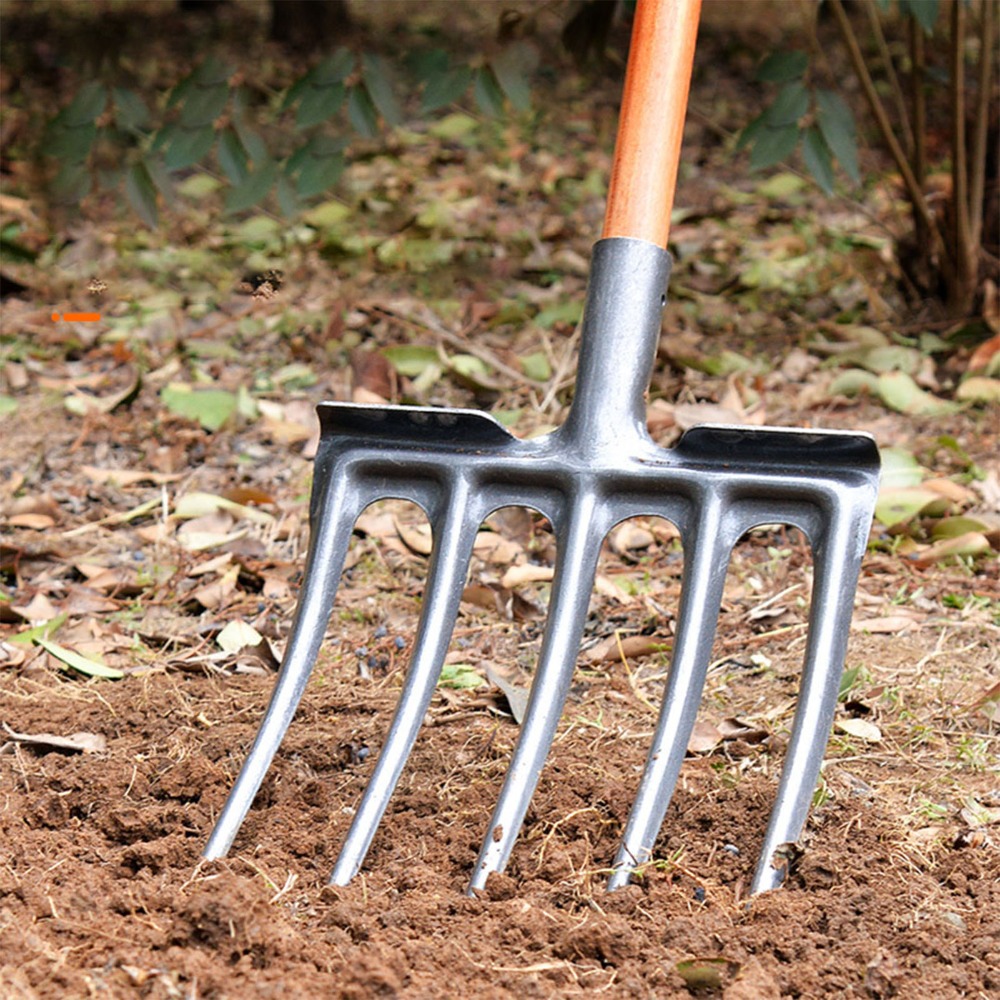 شوكة حفر متينة من الفولاذ عالي - مراجعة Spade Digging Fork وسعره